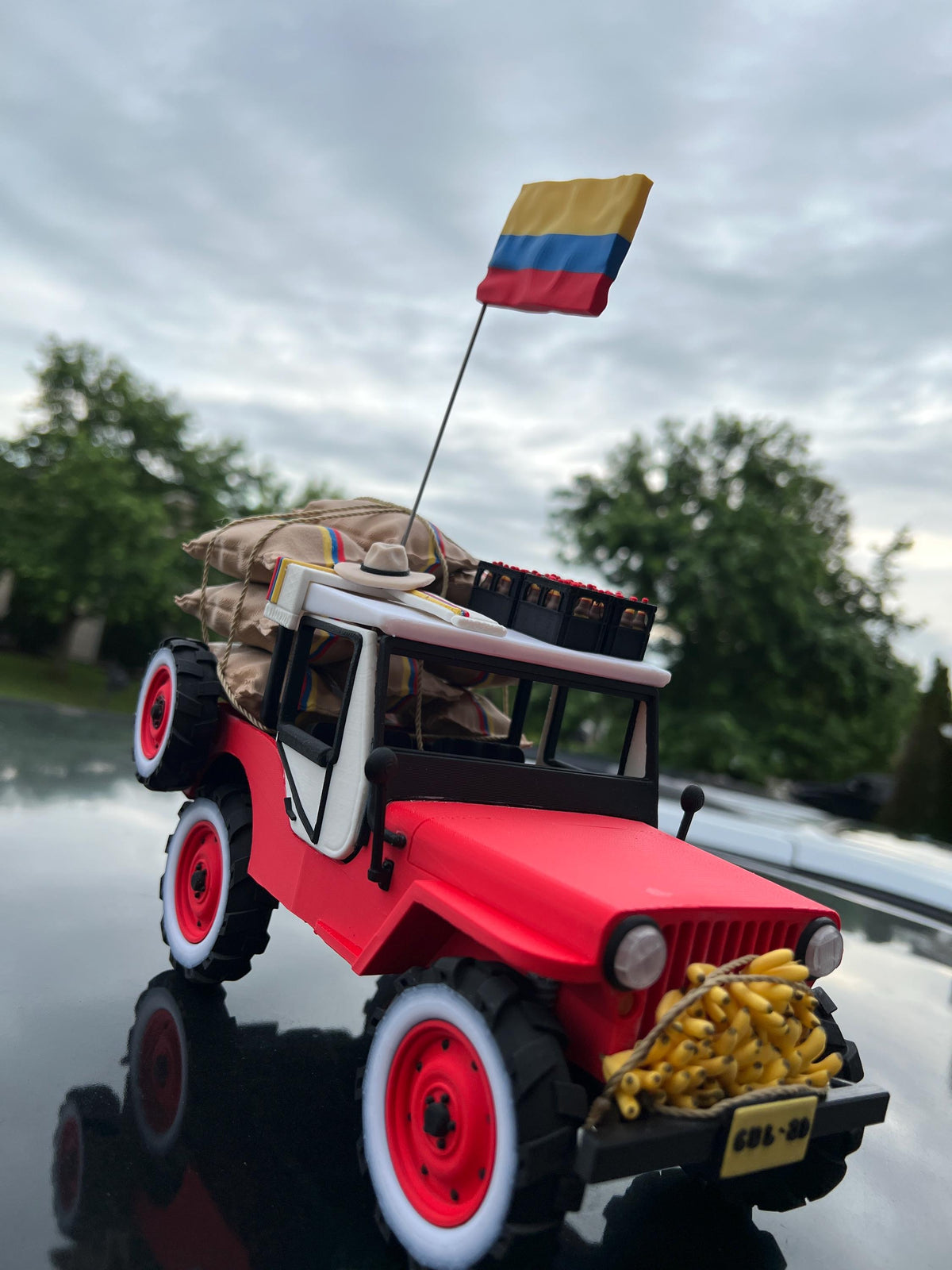 Colombian Willy Model